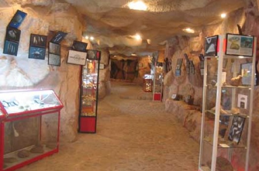 موزه فسیل در خراسان جنوبی راه‌اندازی می‌شود