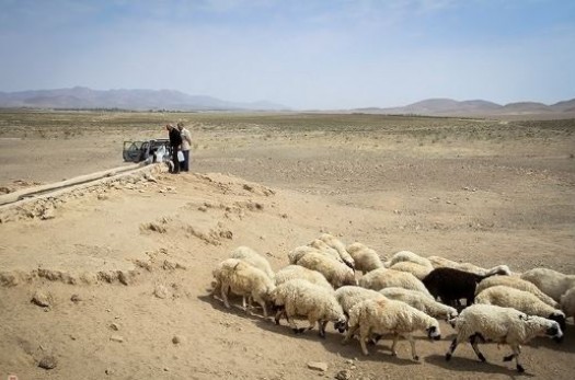 "خشکسالی"، رد پایی عمیق در خراسان‌جنوبی برجای گذاشت