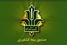 بیمه 271 هزار رأس دام در خراسان جنوبی