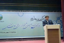 ۸۱۵ هزار هکتار از اراضی کشور جنگل کاری می شود