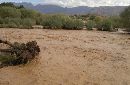خسارت بالغ بر یک میلیارد تومان به شهرستان زیرکوه در پی بارندگی‌های اخیر