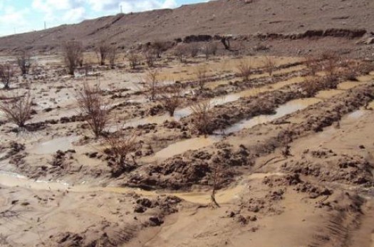 خسارت 654میلیاردی بارندگی های اخیر به بخش کشاورزی قاینات+تصاویر
