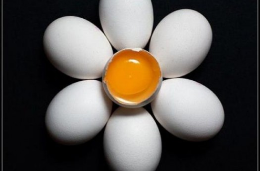 بیش از ۶ تن تخم مرغ فاسد در خراسان جنوبی معدوم شد