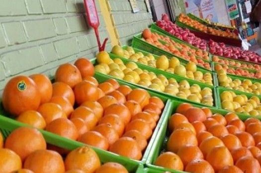 توزیع میوه تنظیم بازار در خراسان جنوبی آغاز شد