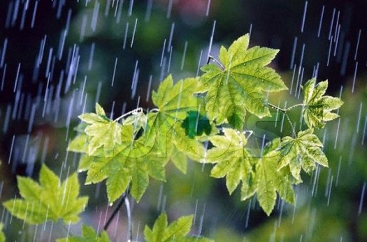 هوای خراسان جنوبی بارانی می شود/هشدار جاری شدن روان آب