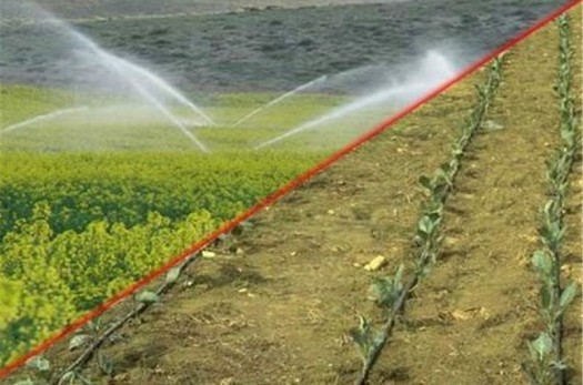 ۱۳۰۰ هکتار از اراضی کشاورزی خراسان جنوبی به سیستم آبیاری نوین تجهیز شد