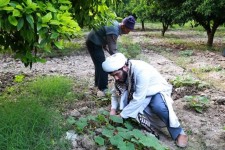 بسیاری از روحانیون خراسان جنوبی در کنار طلبگی‌ به کشاورزی هم اشتغال دارند