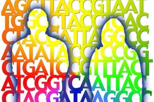 بیش از ۳ هزار نفر در بیرجند از خدمات مشاوره ژنتیک بهره‌مند شدند