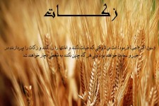 جمع‌آوری بیش از 3 میلیارد ریال زکات در خراسان‌جنوبی