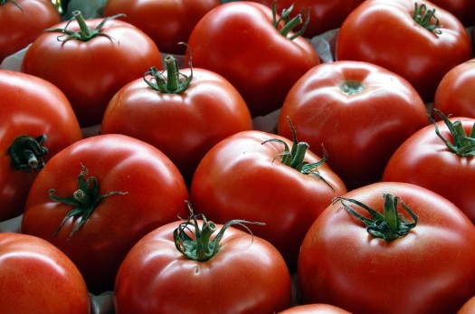 200 هزار تن گوجه‌فرنگی مازاد بر مصرف داریم/ نوسان غیرطبیعی در قیمت‌ها در بازار وجود ندارد