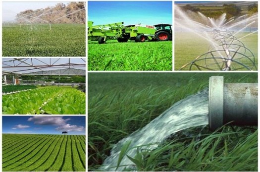 بهره برداری از 18 طرح کشاورزی طی هفته دولت در شهرستان سرایان