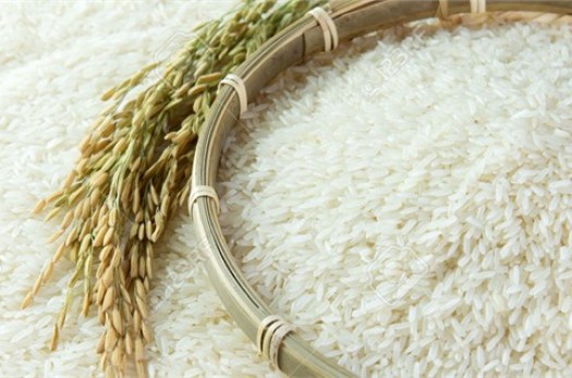 550 هزار تُن واردات برنج در 5 ماه گذشته/ امسال کسری برنج 850 هزار تُن است