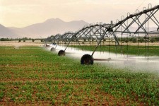 انجام 21 کیلومتر شبکه آبیاری نوین در روستای بسطاق