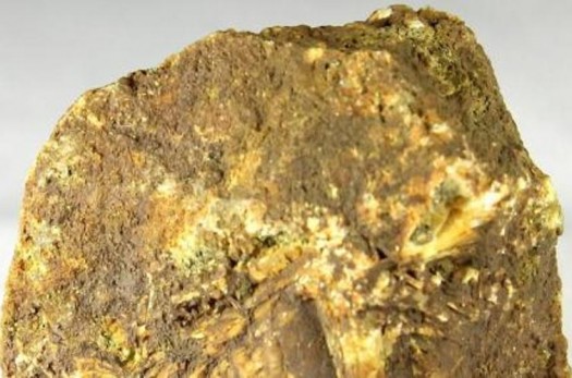 معدن طلا هیرد نهبندان در مرحله آزمایش صنعتی است