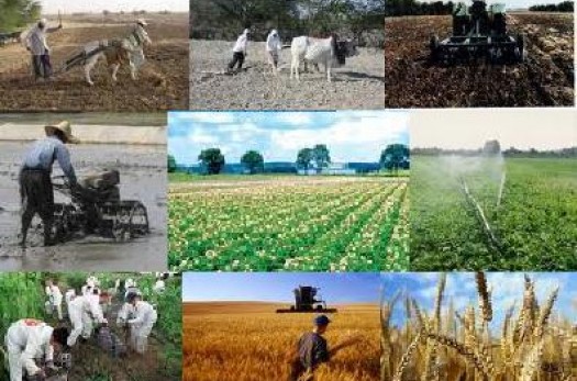 ابلاغ تسهیلات آب و کشاورزی صندوق توسعه ملی