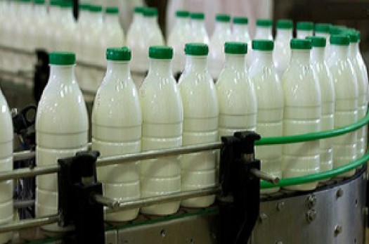 فعالیت ۳۰ مرکز جمع‌آوری شیر در خراسان‌جنوبی