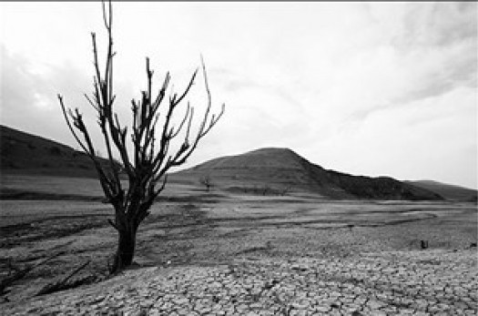 تب تند خشکسالی در استان فروکش نمی‌کند/ سریال قهر طبیعت در خراسان‌جنوبی