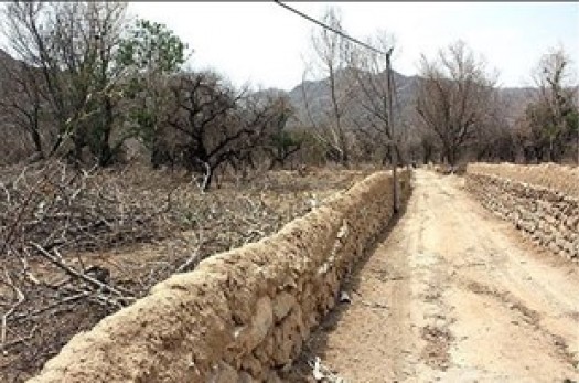 خسارت بیش از 486 میلیارد تومانی خشکسالی به بخش کشاورزی خراسان‌جنوبی