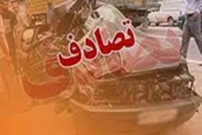 برخورد شتر با پژو حادثه ساز شد