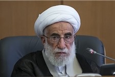 مجلس خبرگان دغدغه حفظ ارزش‌های انقلاب را دارد/خبرگان از مسئولین نظام توقع توجه به معیشت و اقتصاد مردم را دارند