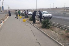 ۱۰ هزار اصله درخت در شهرستان بیرجند کاشته شد