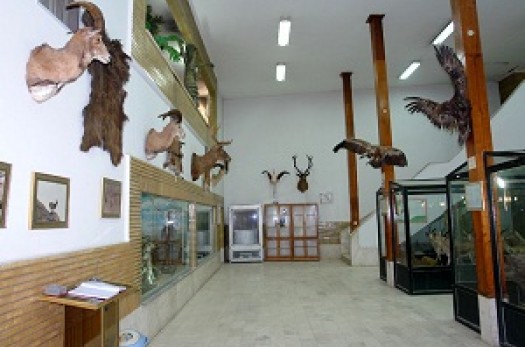 بازدید رایگان از موزه تنوع زیستی در خراسان جنوبی