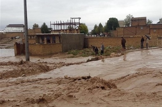 برآورد ۱۳۰ میلیون ریالی غرامت دام به خسارت دیدگان سیلاب در خراسان جنوبی