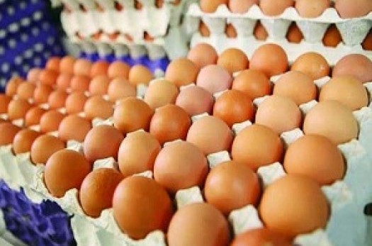 ۱۷۰۰ تن تخم مرغ از خراسان جنوبی صادر شد