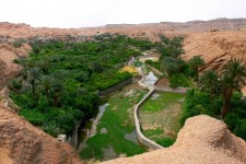 طبس مقصد اول گردشگران خارجی در سفر خراسان جنوبی