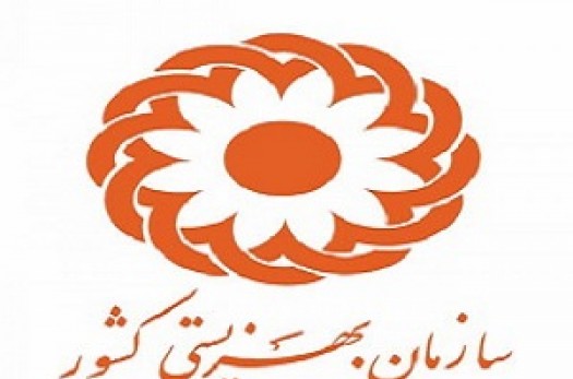 مراجعه 800 نفر به مراکز مشاوره ژنتیکی بهزیستی استان