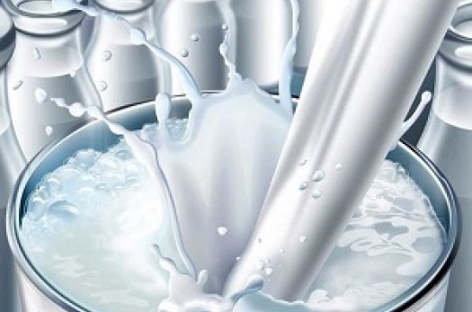 نظارت دامپزشکی بر سلامت بیش از ۳۵۰۰ تن شیر خام تولیدی