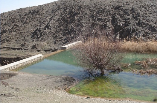 کمبود اعتبار چالش عملیات آبخیزداری در خراسان جنوبی است