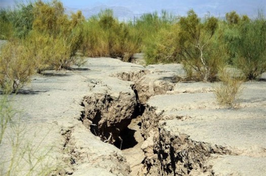 ۸۴۸ میلیارد تومان خشکسالی به بخش کشاورزی خراسان جنوبی خسارت زد