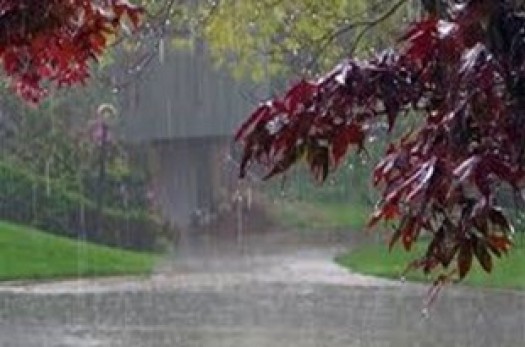 بارش اولین باران پاییزی در خراسان‌جنوبی/ احتمال وقوع رواناب در برخی نقاط