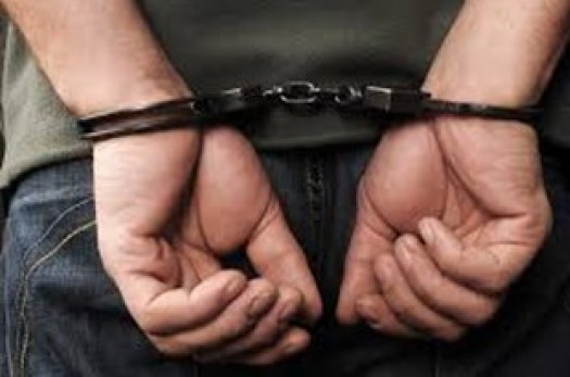 دستگیری ۵ قاچاقچی مواد مخدر/ کشف ۲۷۶ کیلوگرم تریاک