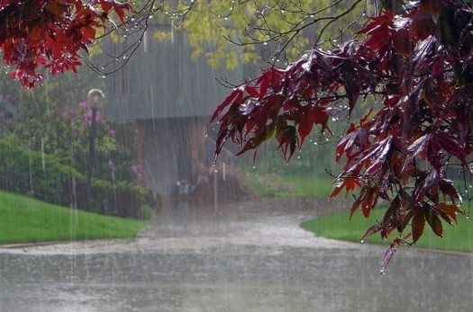 بارش باران خراسان جنوبی را فرا می‌گیرد