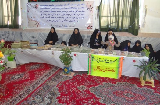 45 صندوق خرد زنان عشایر در خراسان جنوبی فعال است