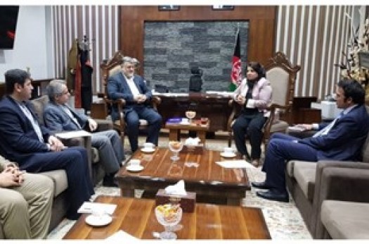 استاندار در اولین سفر خارجی به افغانستان رفت/ دیدار معتمدیان با سرپرست وزارت صنعت افغانستان