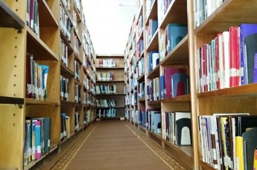 ۴ کتابخانه عمومی روستایی در استان خراسان جنوبی بهره‌برداری می‌‎شود