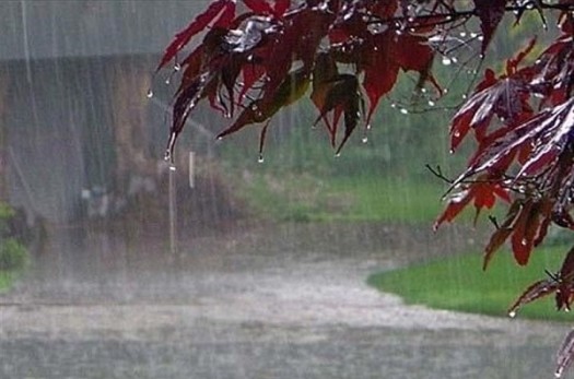 بارش ۱۹ میلی متری باران در مهوید فردوس/ تضعیف سامانه بارشی
