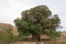 ۲ اثر طبیعی خراسان جنوبی در فهرست آثار ملی ثبت شد