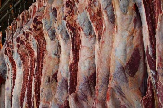 گوشت گوسفند در چهار شهرستان خراسان جنوبی توزیع می‌شود