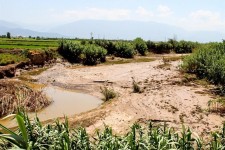 مخاطرات طبیعی بالغ بر یک هزار میلیارد تومان به بخش کشاورزی خراسان جنوبی خسارت زد