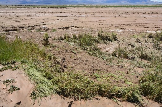 سیل 350 میلیارد تومان در خراسان جنوبی خسارت زد