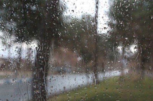 پیش بینی وزش باد و بارش پراکنده در خراسان جنوبی