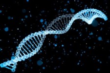 استخراج DNA از سلول گیاهی در دانشگاه بیرجند