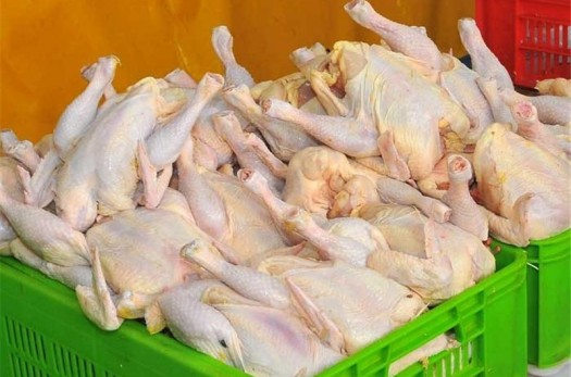 صادرات مرغ و تخم‌مرغ خراسان‌جنوبی به افغانستان