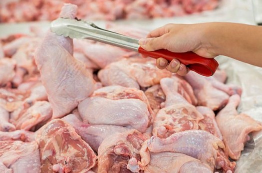 قیمت مرغ در خراسان جنوبی اعلام شد؛ ۱۲ هزار و ۹۰۰ نرخ عمده‌فروشی و ۱۳ هزار و ۷۰۰ برای مشتری