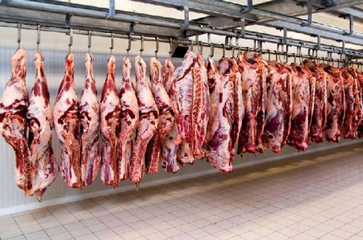 توزیع گوشت تازه گوسفندی با قیمت تعادلی در بیرجند