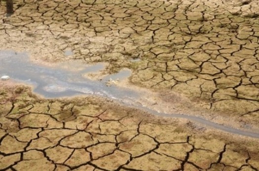 شوری آب و خاک مهم‌ترین چالش توسعه بخش کشاورزی خراسان‌جنوبی